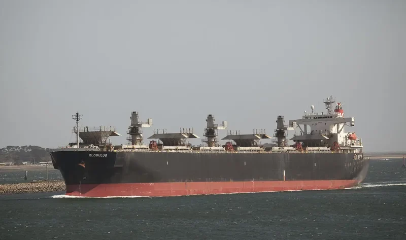 GLOBULUS Bulk Carrier IMO 9134191 photo 7