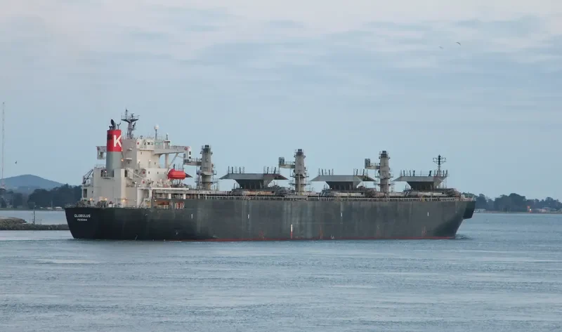 GLOBULUS Bulk Carrier IMO 9134191 photo 10
