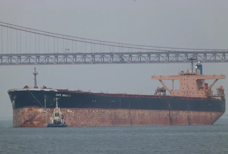 LILA PORTO Bulk Carrier IMO 9134220 photo 2