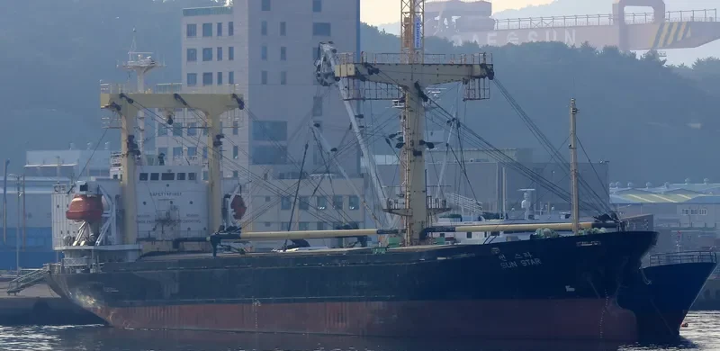 DANAU BERLIAN General Cargo IMO 9134385 photo 2