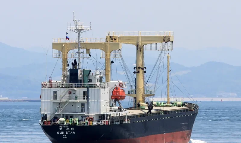 DANAU BERLIAN General Cargo IMO 9134385 photo 3