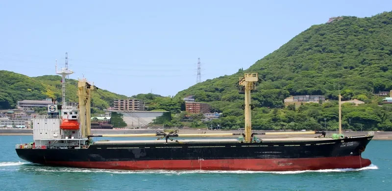 DANAU BERLIAN General Cargo IMO 9134385 photo 4