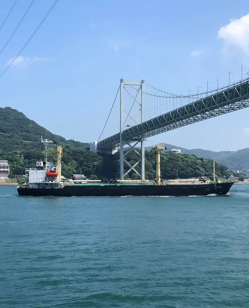 DANAU BERLIAN General Cargo IMO 9134385 photo 7