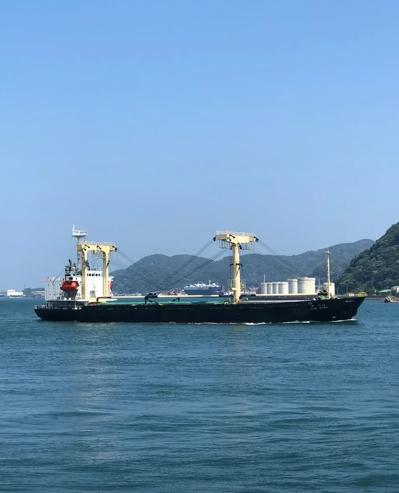 DANAU BERLIAN General Cargo IMO 9134385 photo 8