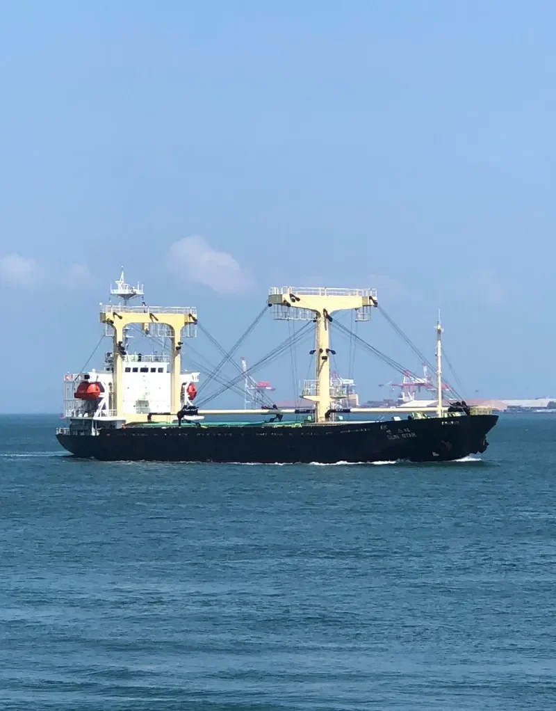 DANAU BERLIAN General Cargo IMO 9134385 photo 9