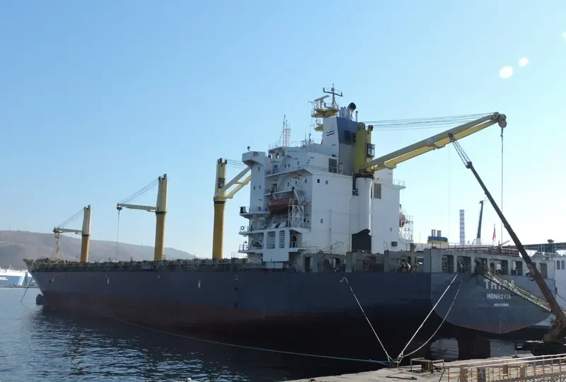 MSC JANIS 3 Container Ship IMO 9134490 photo 2