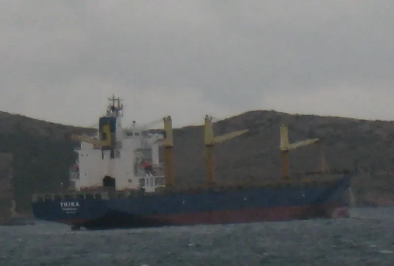MSC JANIS 3 Container Ship IMO 9134490 photo 9