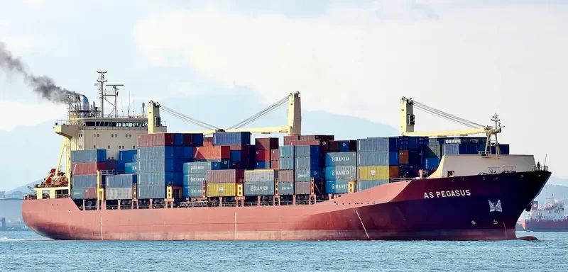AS PEGASUS Container Ship IMO 9134581 photo 2