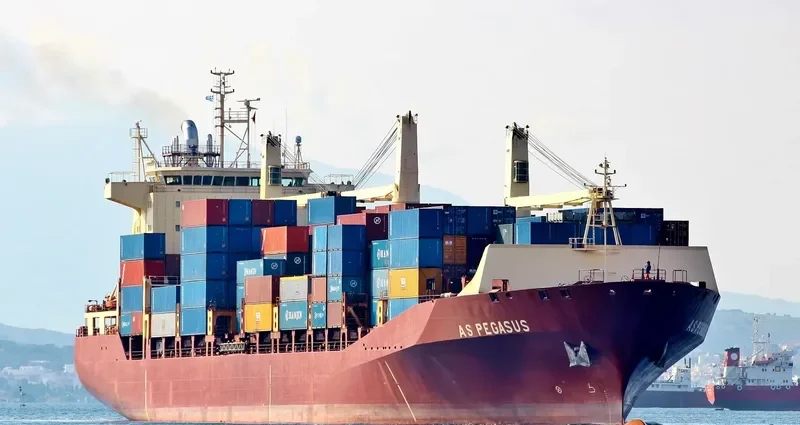 AS PEGASUS Container Ship IMO 9134581 photo 3