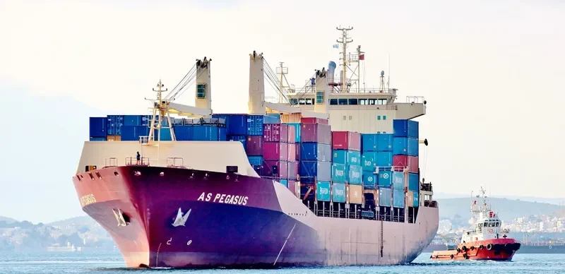 AS PEGASUS Container Ship IMO 9134581 photo 4