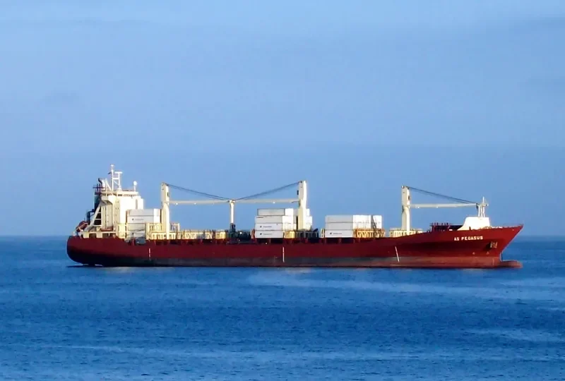 AS PEGASUS Container Ship IMO 9134581 photo 7