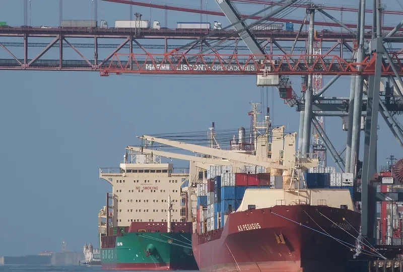 AS PEGASUS Container Ship IMO 9134581 photo 8