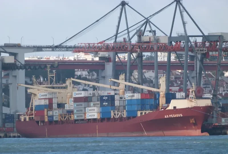 AS PEGASUS Container Ship IMO 9134581 photo 9