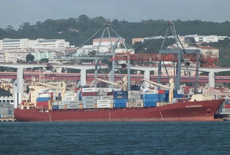 AS PEGASUS Container Ship IMO 9134581 photo 10