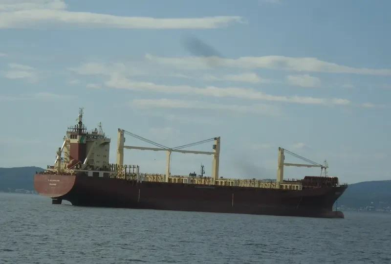 TAURUS 1 Container Ship IMO 9134593 photo 7