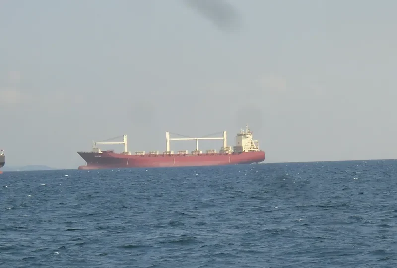 TAURUS 1 Container Ship IMO 9134593 photo 8