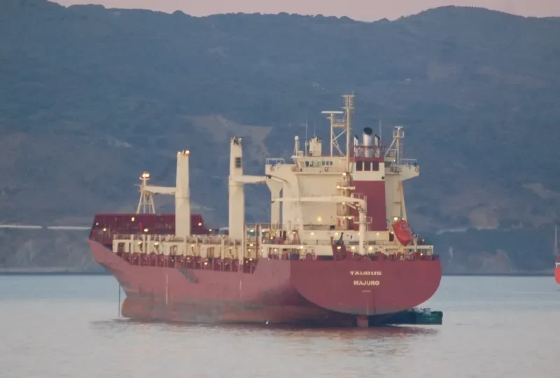 TAURUS 1 Container Ship IMO 9134593 photo 10