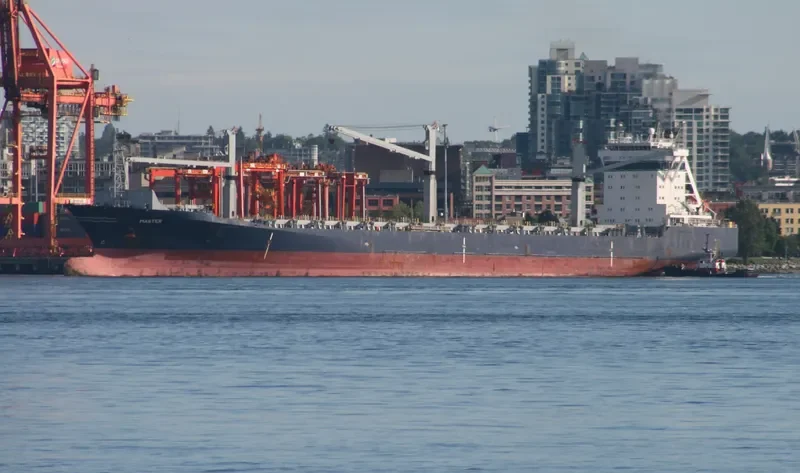 HS MASTER Container Ship IMO 9134608 photo 8