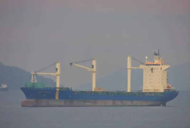 HANOI Container Ship IMO 9134634 photo 7