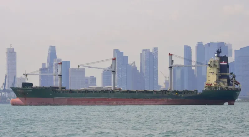 OEL LANKA Container Ship IMO 9134660 photo 3