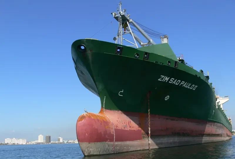 BLPL GRACE Container Ship IMO 9134672 photo 4