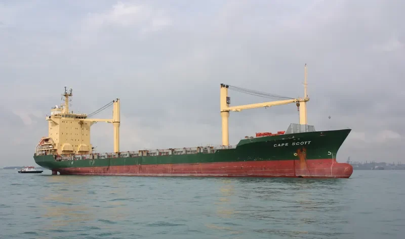 CAPE SCOTT Container Ship IMO 9134696