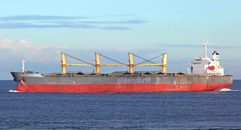 VIYA Container Ship IMO 9134701 photo 2