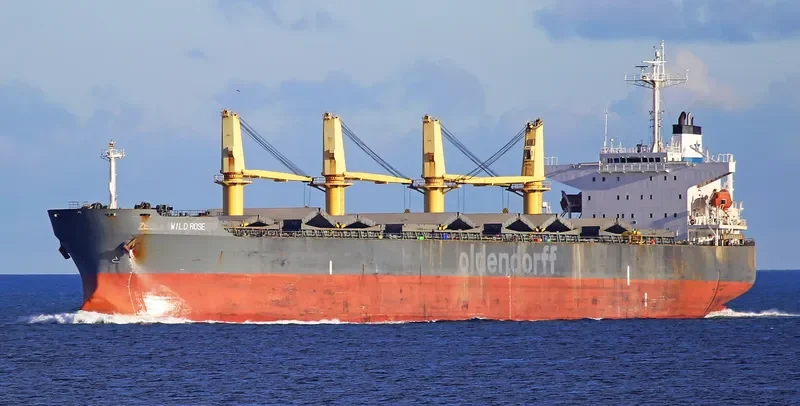 VIYA Container Ship IMO 9134701 photo 3
