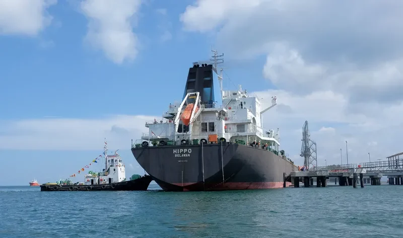 HIPPO Tanker IMO 9134713