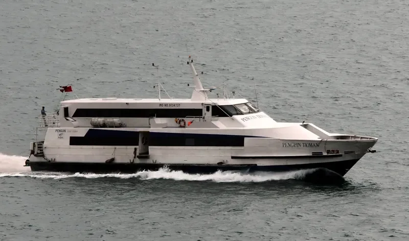 COASTAL CRUISE Ro-Ro IMO 9134737 photo 4