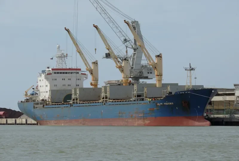 BLUE PHOENIX I General Cargo IMO 9134816