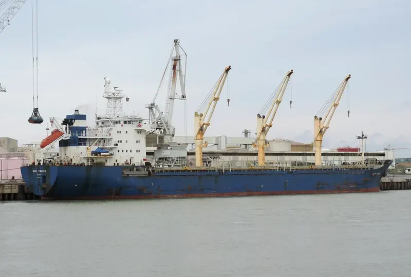 BLUE PHOENIX I General Cargo IMO 9134816 photo 2