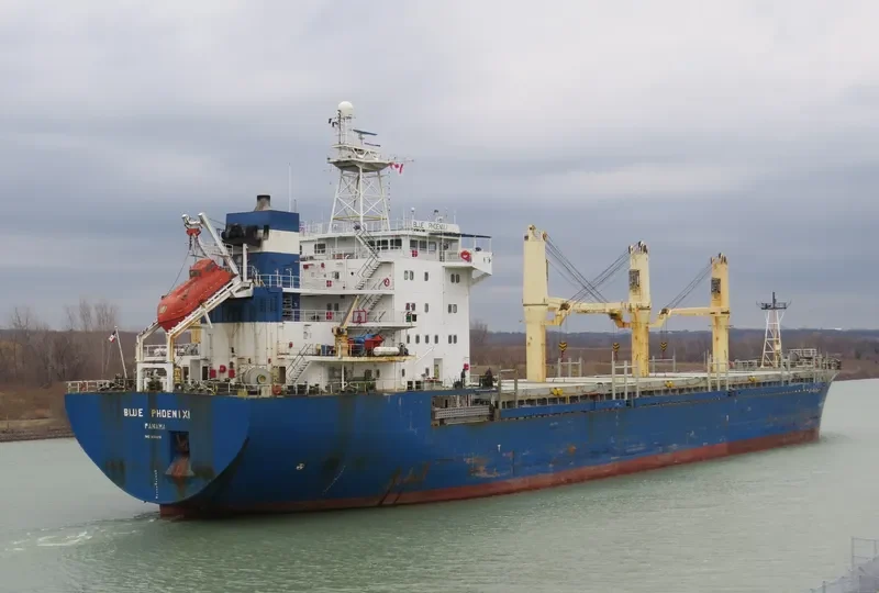 BLUE PHOENIX I General Cargo IMO 9134816 photo 3
