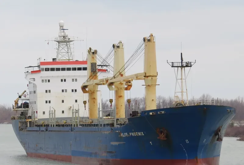 BLUE PHOENIX I General Cargo IMO 9134816 photo 4