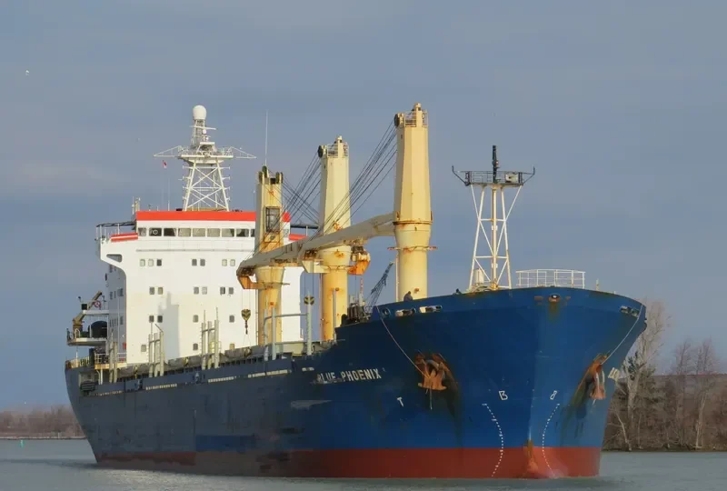 BLUE PHOENIX I General Cargo IMO 9134816 photo 5