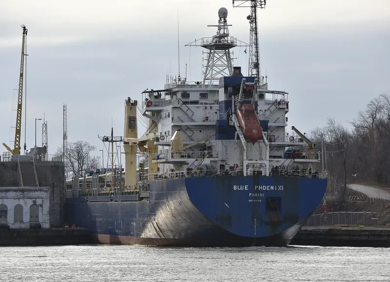 BLUE PHOENIX I General Cargo IMO 9134816 photo 6