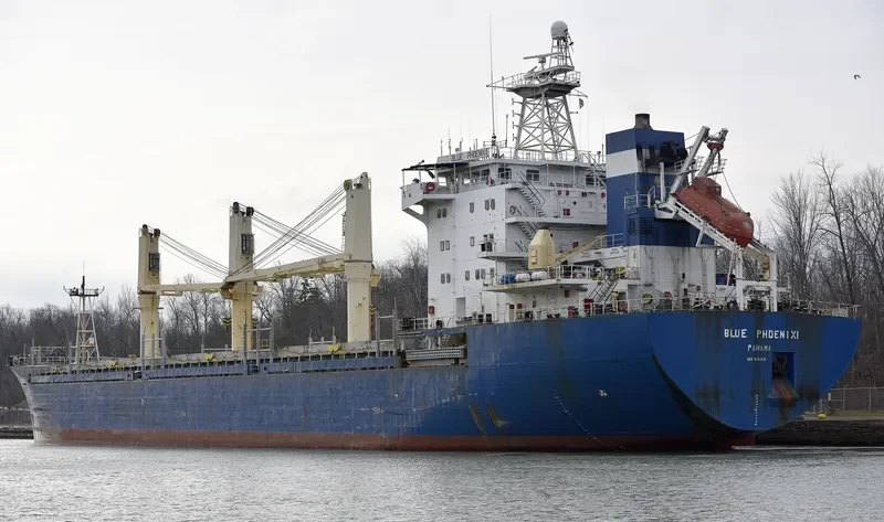 BLUE PHOENIX I General Cargo IMO 9134816 photo 7