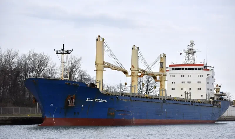 BLUE PHOENIX I General Cargo IMO 9134816 photo 8