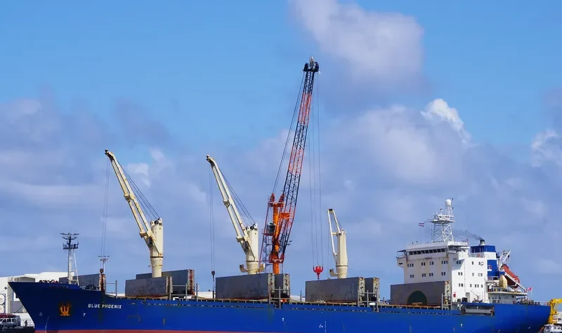 BLUE PHOENIX I General Cargo IMO 9134816 photo 10