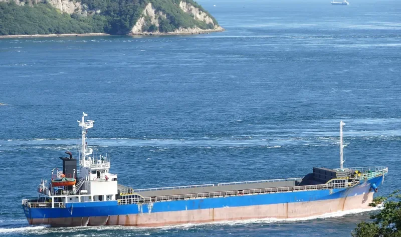 ZHEN XIN General Cargo IMO 9135195 photo 6