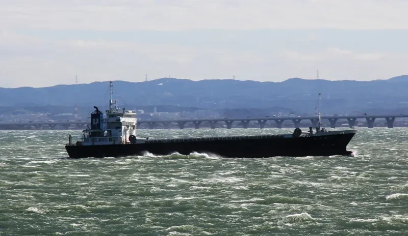UDO MARU General Cargo IMO 9135200