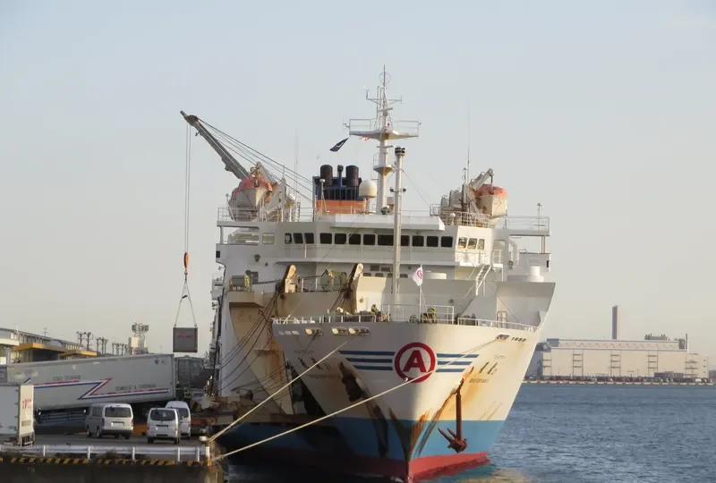 BIRYONG Ro-Ro IMO 9135250 photo 5