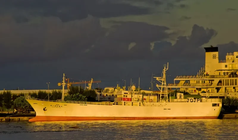 SHOSHIN MARU NO.80 General Cargo IMO 9135391 photo 2