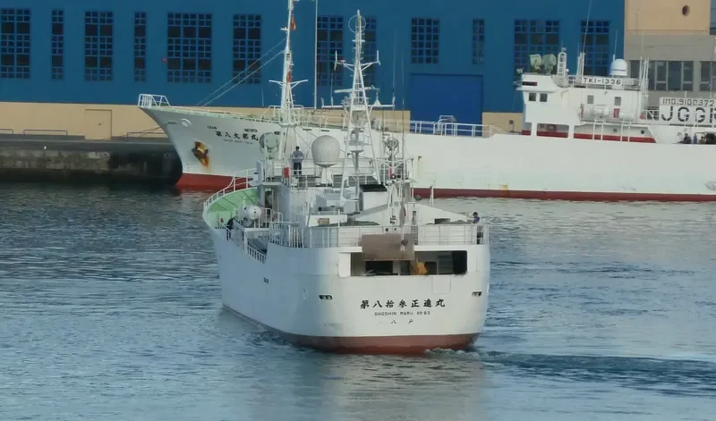 SHOSHIN MARU NO.80 General Cargo IMO 9135391 photo 4