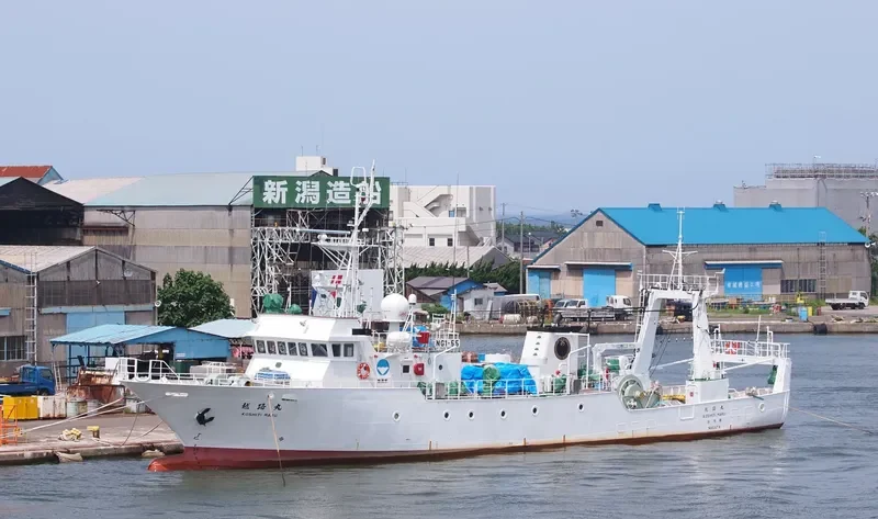 KOSHIJI MARU General Cargo IMO 9135418 photo 3