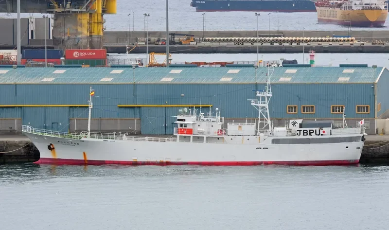 CHIYO MARU NO.28 General Cargo IMO 9135420 photo 8