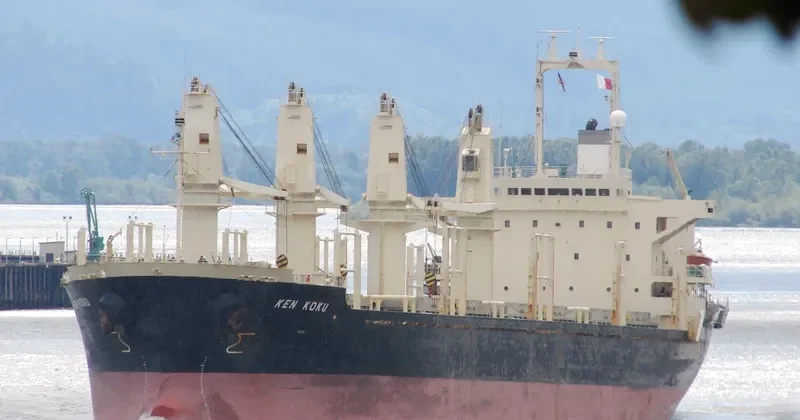 TAN BINH 123 Bulk Carrier IMO 9135470 photo 6