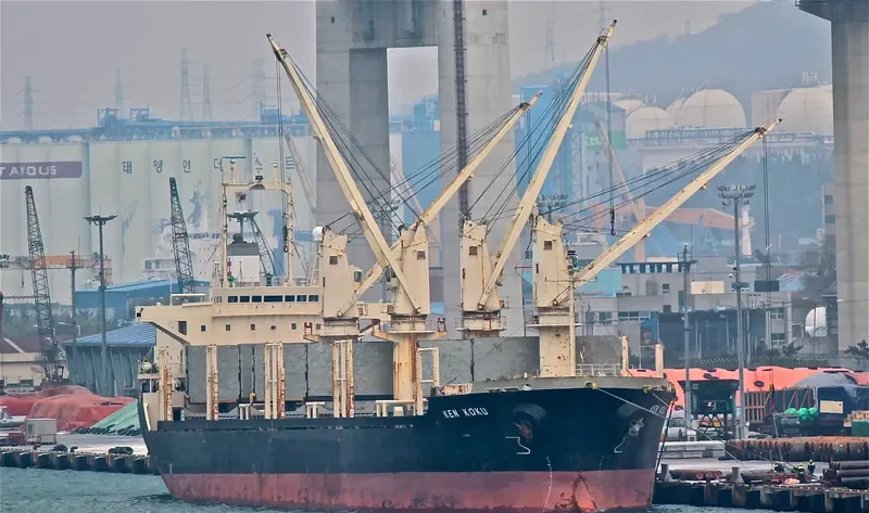 TAN BINH 123 Bulk Carrier IMO 9135470 photo 7