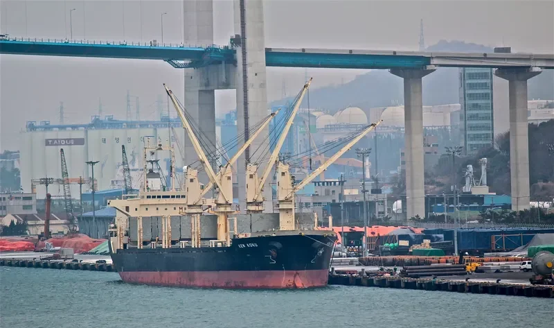 TAN BINH 123 Bulk Carrier IMO 9135470 photo 8
