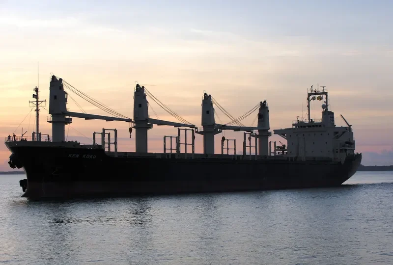 TAN BINH 123 Bulk Carrier IMO 9135470 photo 10